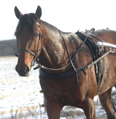 Random-Shot-150119-1