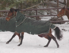 Quality-Questioned-130206-3