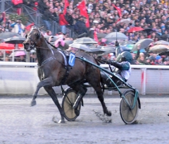 Bilden som för evigt kommer att finnas i travhjärtat, Maharajah vinner Prix d´Amerique. Foto; C.Kärrstrand/Hingstfotografen