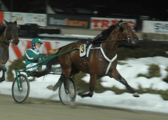 Random-Shot-150211-1