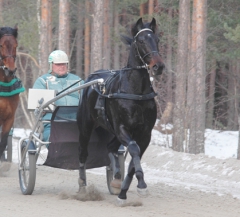 Orecchietti-150216-7