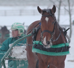 Lossnar det för Ruhuna Tea i år? Foto; A.Lindblom/Travkompaniet