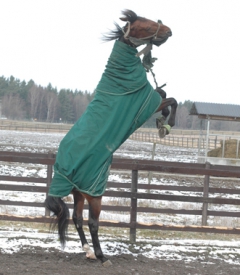 Random-Shot-lek-140319-3