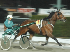 Scotch-Whisky-150218