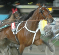 Scotch-Whisky-141210-2