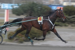 Stronghold--150325-1