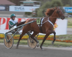 Random-Shot-130708-3