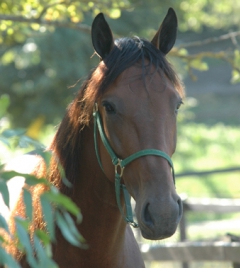 Random-Shot-140911-3