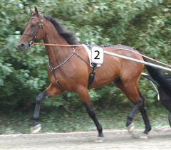 Quality-Questioned-140907-6