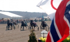 Norsk glädje i Olympiatravet 2006 då Thai Tanic vann. Hästen var uppfödd och ägd i Norge men tränades av Olle Goop och kördes av Björn Goop. Foto av Thomas Blomqvist