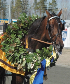 Underbare Maharajah har bjudit oss på många höjdpunkter. Foto; A.Lindblom/Travkompaniet