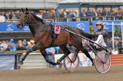 Norske publikfavoriten Support Justice och Geir Vegard Gundersen är klara för Elitloppet. Foto av LARS JAKOBSSON