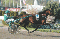 Toreador-150506-1