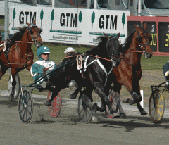 Panne De Moteur på väg fram mot ledaren. Foto; A.Lindblom/Travkompaniet