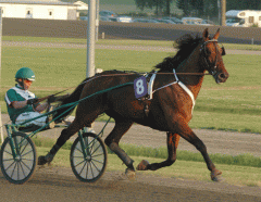 Quality-Queastioned-140708-8