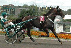 Foto: Annika Lindblom, Travkompaniet