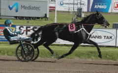 Panne De Moteur såg jättefin ut på Gävletravet i lördags. Foto; A.Lindblom/Travkompaniet