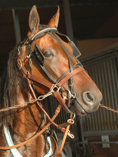 Quality-Queastioned-140708-10