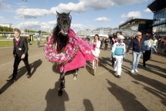 Magic Tonight paraderar på Solvalla efter storsegern i Elitloppet. Skötaren Viktor Flink Ideborn (skymd bakom hästen) intervjuas för TV4. Ägaren Lennart Ågren (vänster), Roger Walmann och Örjan Kihlström. Foto: Foto-Mike  Foto av Kanal 75