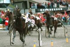 Dubble elitloppsvinnaren Copiad väljs in i Hall Of Fame. Foto av Kanal 75