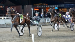 Al's Winnermede har tagit tre segrar på fyra starter i år. Tränaren Svante Ericsson siktar på Derbyt framöver. Foto av LARS JAKOBSSON