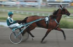 Luggen