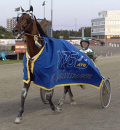 Ett starkt travminne 2007 - Jocose seger i Gulddivisionsfinalen på Solvalla.