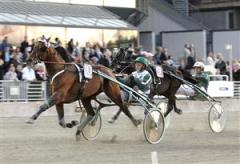 Jocose är en av tio hästar som jagar en plats i Elitloppet på lördag. I fjol tog sig hingsten till Elitloppet genom seger i gulddivisionens final på V75. Foto: Lars Jakobsson