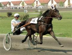 Legolas blev hela svenska folkets favorit d&aring; han radade upp 19 raka segrar fr&aring;n debuten i b&ouml;rjan av 1980-talet. Nu &auml;r rekordet i fara. Foto: Kanal 75