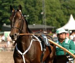 jaded_hultman2_lj_080707_16611