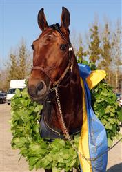 3-torvald-med-lagerkrans-lj_090404_183226