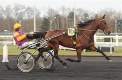 Dubble Prix d´Amerique-vinnaren Offshore Dream. Foto: Lars Jakobsson