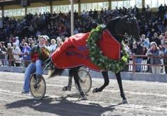 Segerdefilering av elitloppsaktuelle Jaded. Foto: Hanold