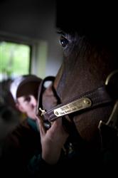 triton_lisa3_tb_090529_15836