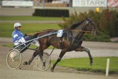 knockout_rose_tb_090608_212956