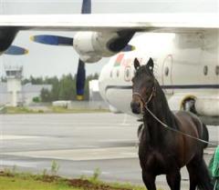 hastflygplan_lj_090709_17021