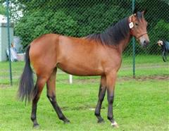 remember_la_marc_660_090719_135236