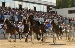 "&Aring;rets roligaste seger", s&aring; beskriver Torbj&ouml;rn Jansson triumfen med Beanie M.M. i gulddivisionen i l&ouml;rdags. Foto: Maria Holm&eacute;n