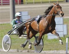 torvald-palema-lj_090917_141054