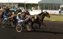 brionimal_090927_172822