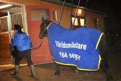 jarvsofaks_forlorade_mh_091114_1915