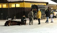 express-amok-dod-lj_100224_212958