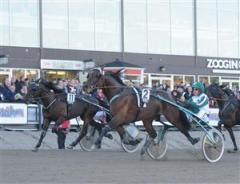 Nantucket krigar sig f&ouml;rst trots tuff resa. Foto: Claes K&auml;rrstrand