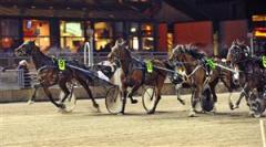 6-egolina-sanna-mal-lj_110202_223613