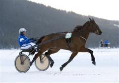adielsson-istrav-are-hp_110308_152754