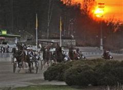 2-staro-allentown-mal-lj_110420_2280