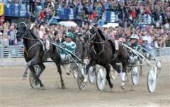 12-orecchetti-mal-lj_110529_202049