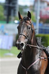 lavec_kronos_tb_110809_17207