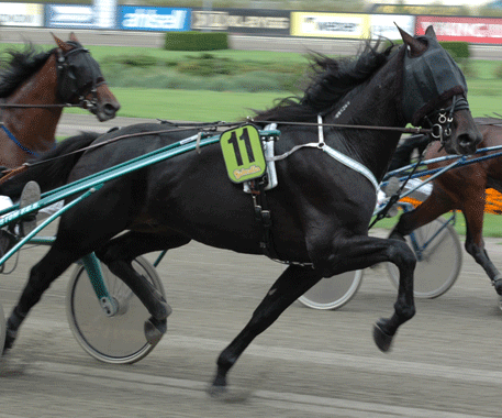 Panne De Moteur visade både styrka och mod på Solvalla i söndags. Foto; Travkompaniet