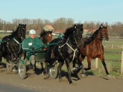 Panne-111116-1